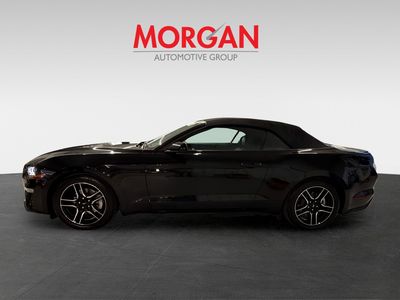 2023 Ford Mustang - Photo 7