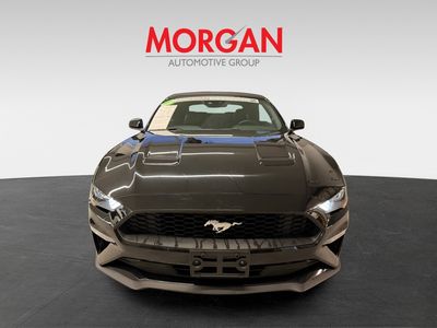 2023 Ford Mustang - Photo 3