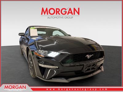 2023 Ford Mustang - Photo 1