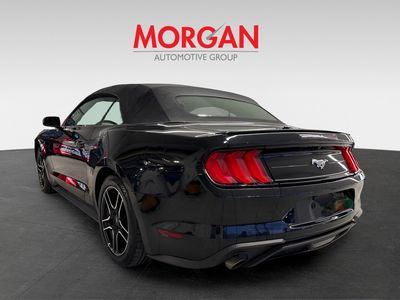 2023 Ford Mustang - Photo 4