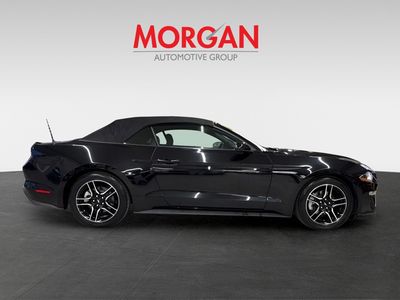 2023 Ford Mustang - Photo 8