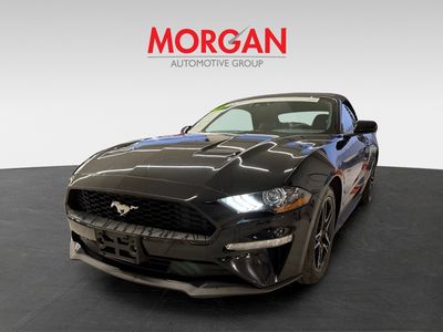 2023 Ford Mustang - Photo 2