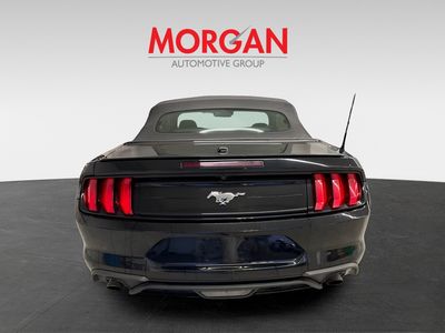 2023 Ford Mustang - Photo 6
