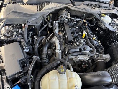 2023 Ford Mustang - Photo 12