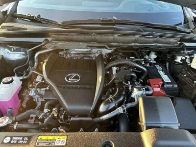 2024 Lexus RX — photo 18 view