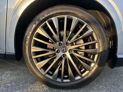 2024 Lexus RX — photo 19 view