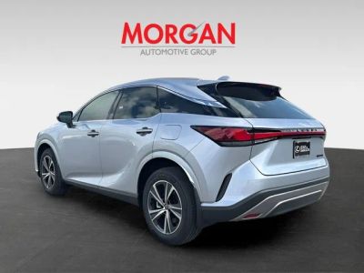 2026 Lexus RX — detail view