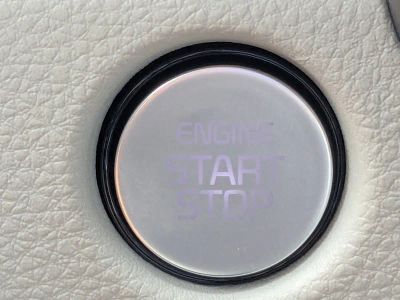 2026 Kia Carnival Hybrid — photo 38 view