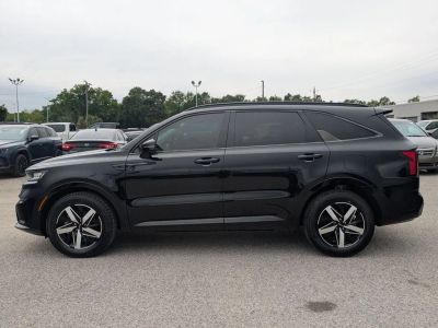 2023 Kia Sorento - Photo 2