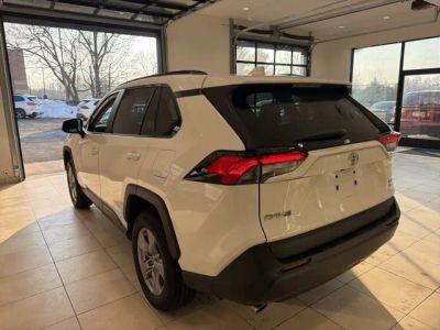 2025 Toyota RAV4 XLE - Photo 5