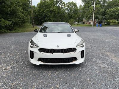 2019 Kia Stinger — side profile view