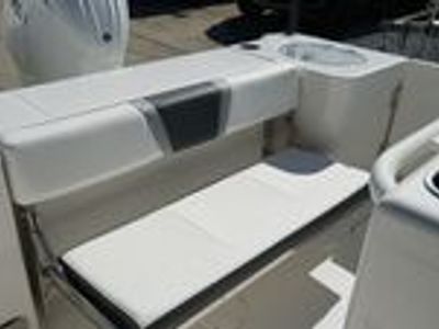 2025 Robalo 250 CC - Photo 22