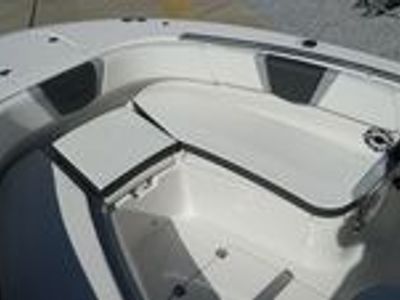 2025 Robalo 250 CC - Photo 12