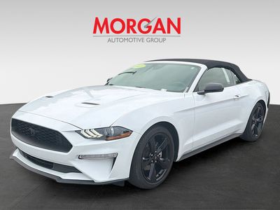 2023 Ford Mustang - Photo 3