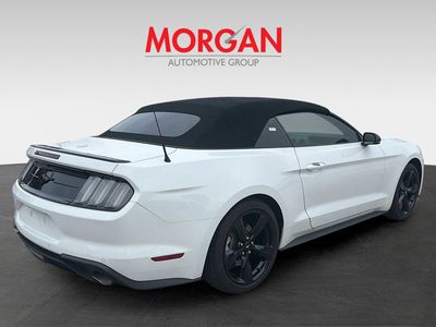2023 Ford Mustang - Photo 5