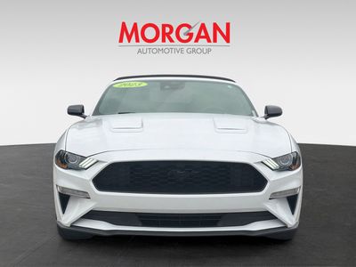 2023 Ford Mustang - Photo 4