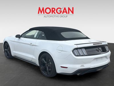 2023 Ford Mustang - Photo 6