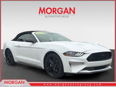 2023 Ford Mustang - Photo 1