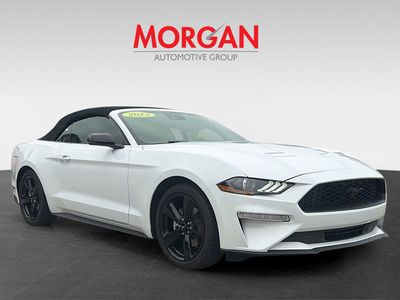 2023 Ford Mustang - Photo 2