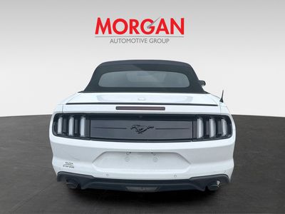 2023 Ford Mustang - Photo 7