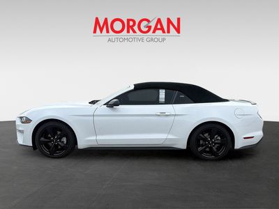 2023 Ford Mustang - Photo 9