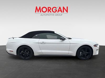 2023 Ford Mustang - Photo 8