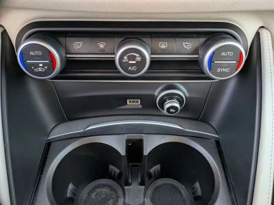 2019 Alfa Romeo Stelvio - Photo 14