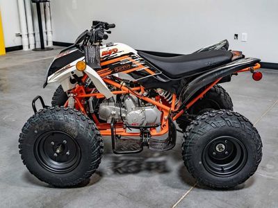 2022 Kayo 150 Storm - Photo 7