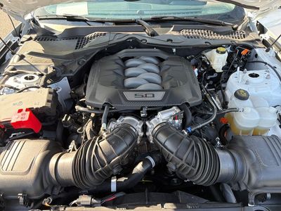 2025 Ford Mustang - Photo 15