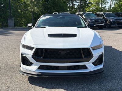 2025 Ford Mustang - Photo 3