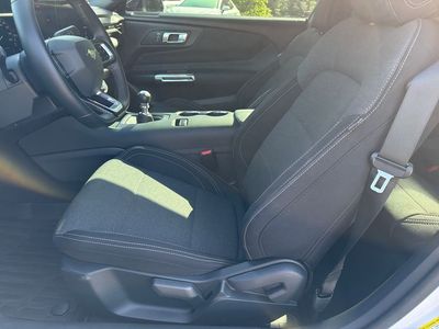 2025 Ford Mustang - Photo 17