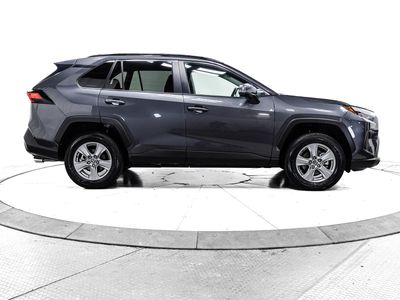 2025 Toyota RAV4 - Photo 12