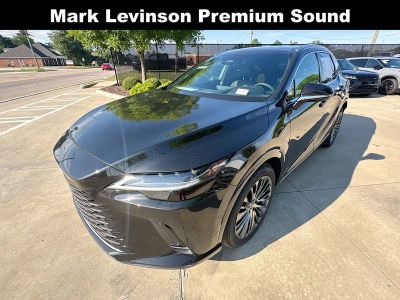 2023 Lexus RX — detail view