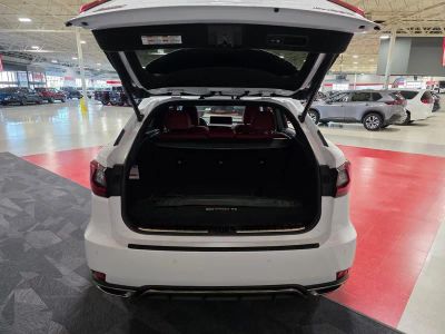 2022 Lexus RX — detail view