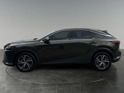 2023 Lexus RX — detail view