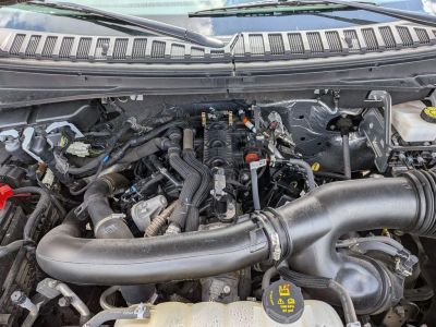 2024 Ford Expedition - Photo 10