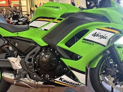 2025 Kawasaki Ninja 650 KRT Edition ABS - Photo 15