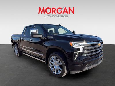2025 Chevrolet Silverado 1500 - Photo 2