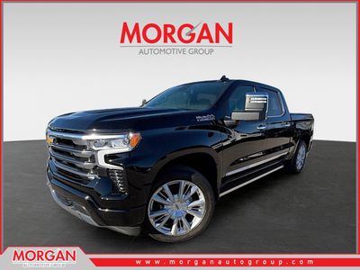 2025 Chevrolet Silverado 1500 - Photo 1