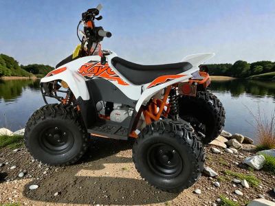 2025 Kayo Storm 70 - Photo 4