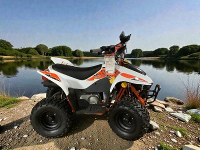 2025 Kayo Storm 70 - Photo 2