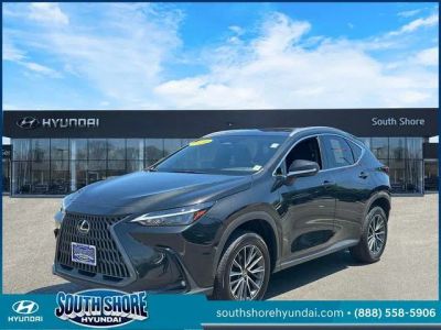 2024 Lexus NX — interior view
