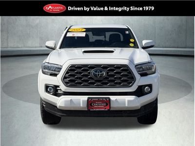 2023 Toyota Tacoma - Photo 1