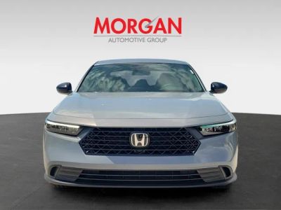 2026 Honda Accord Hybrid — side profile view