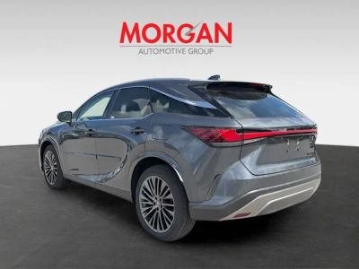 2026 Lexus RX — detail view