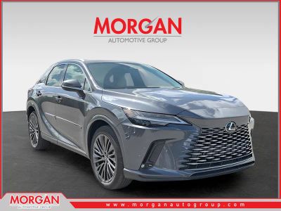 2026 Lexus RX 350h Luxury in Gray — front three-quarter view
