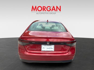 2023 Honda Accord Sedan — engine compartment view