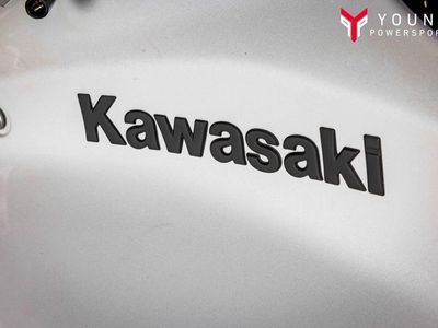 2026 Kawasaki Z900 ABS - Photo 20