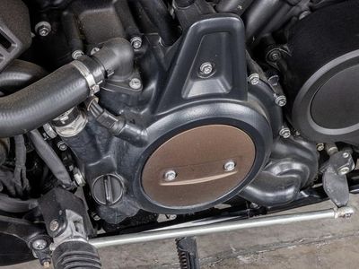 2021 Harley-Davidson RH1250S - Sportster S - Photo 12