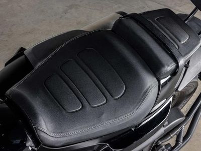 2021 Harley-Davidson RH1250S - Sportster S - Photo 17